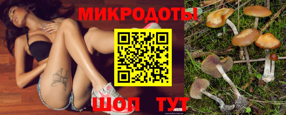 Псилоцибиновые грибы ЛСД Котовск