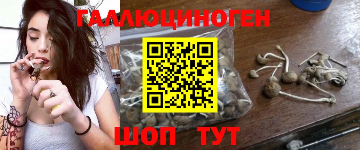 купить   Галлюциногенные грибы GOLDEN TEACHER  Псилоцибиновые грибы мухоморы  Вход с VPN  Котовск 